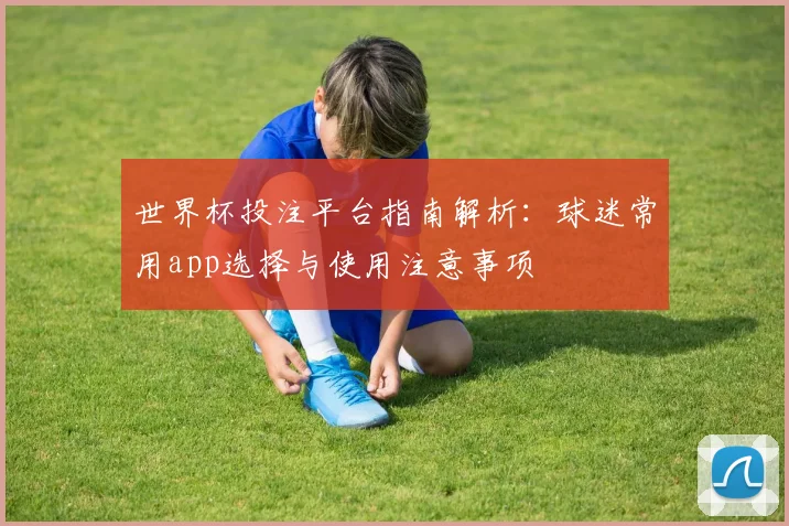 世界杯投注平台指南解析：球迷常用app选择与使用注意事项