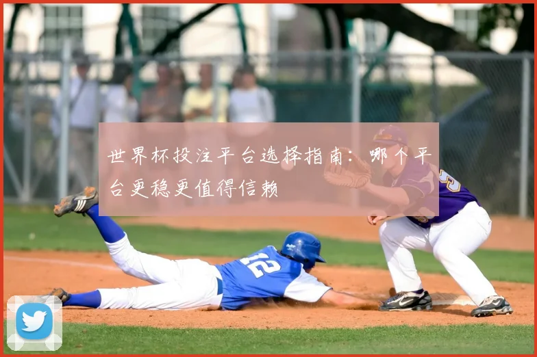世界杯投注平台选择指南：哪个平台更稳更值得信赖